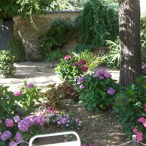 https://hotel-torres-arbucies.catalonia-hotels.com